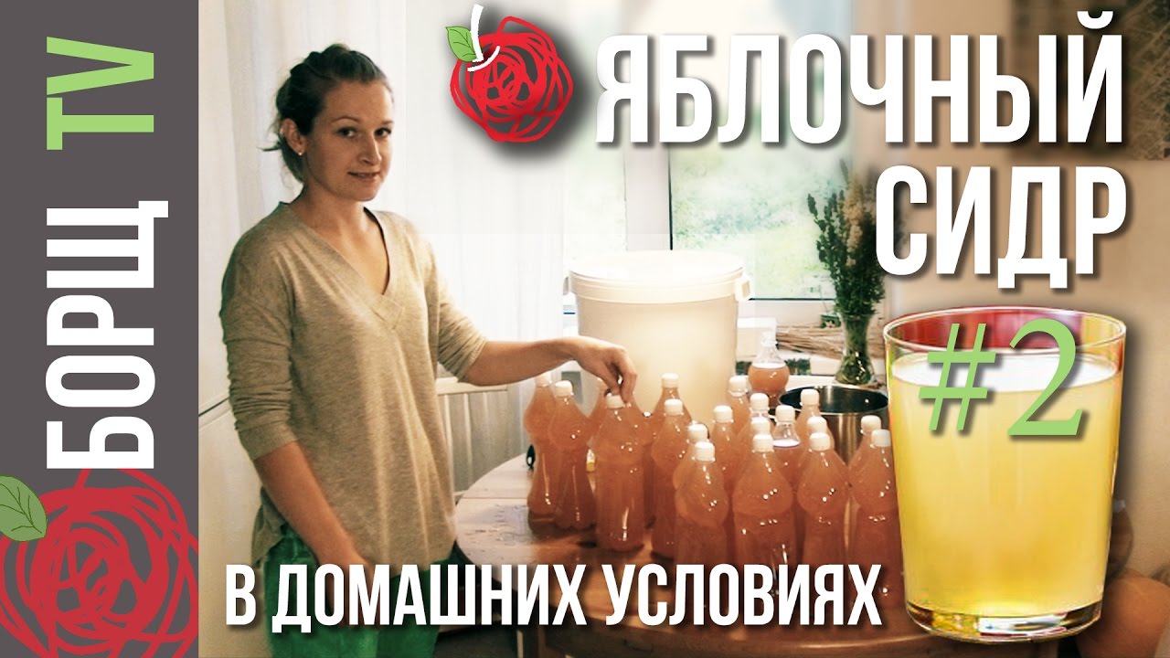 Домашнее виноделие: технология приготовления сидра, пошаговые фото