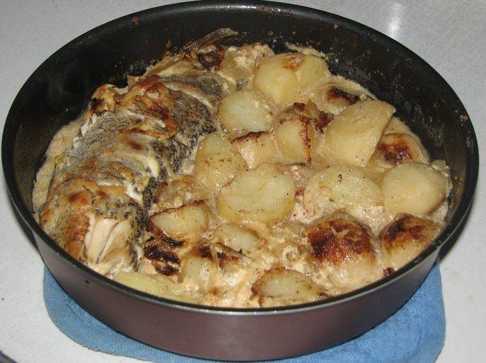 Что можно приготовить из щуки с картошкой. щука в духовке в фольге - вкусные рецепты оригинальных блюд на каждый день и для праздника. котлеты из щуки