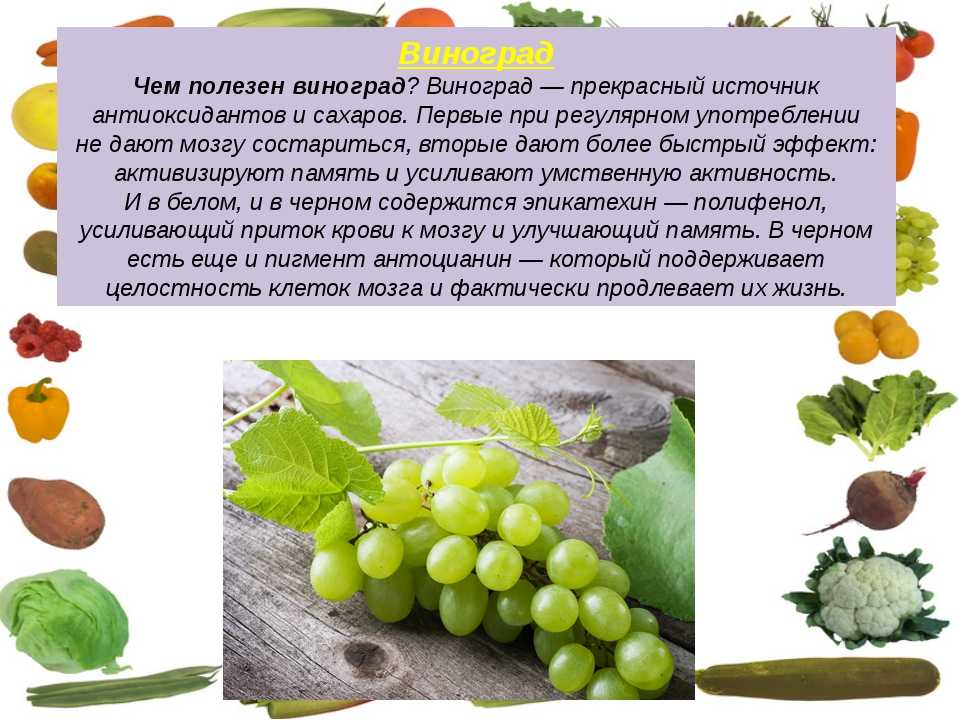 Польза и вред винограда
