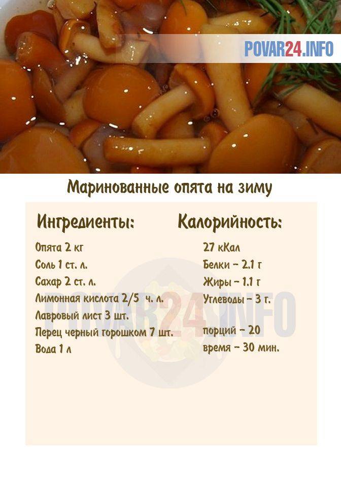 Маринованные опята на зиму — 4 простых рецепта приготовления