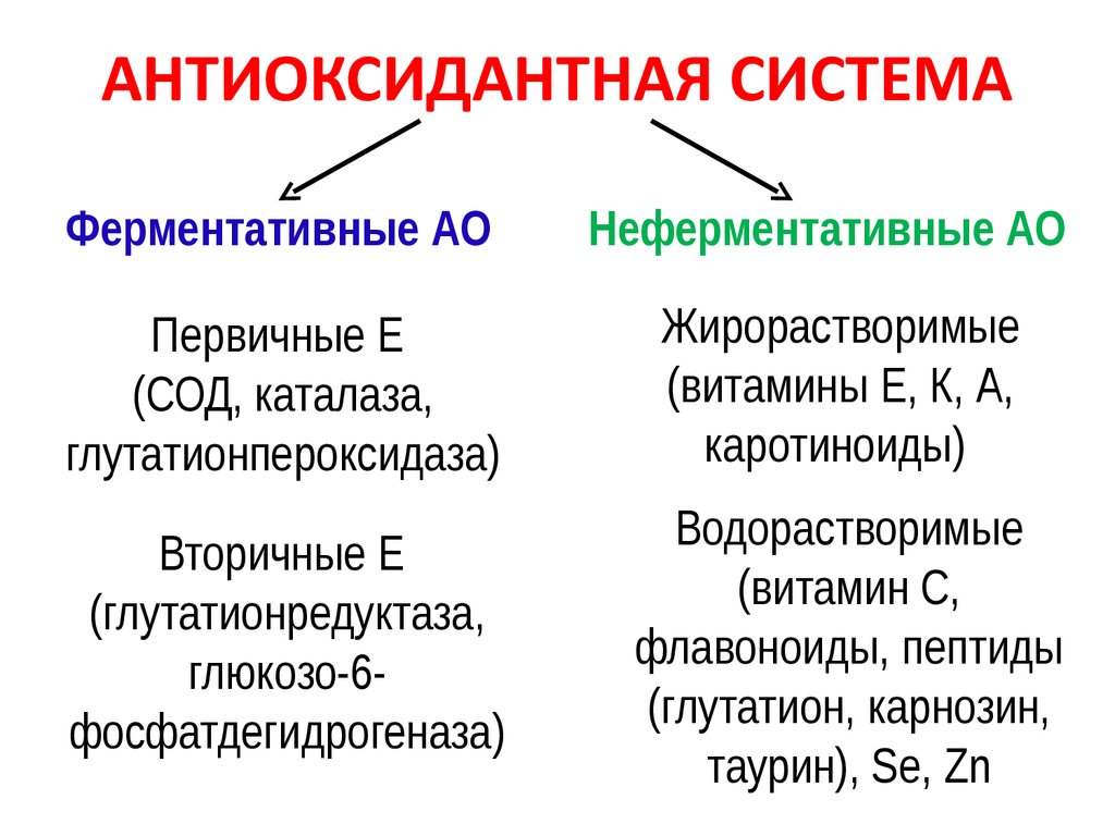 Где содержатся антиоксиданты? что это за зверь и с чем его едят