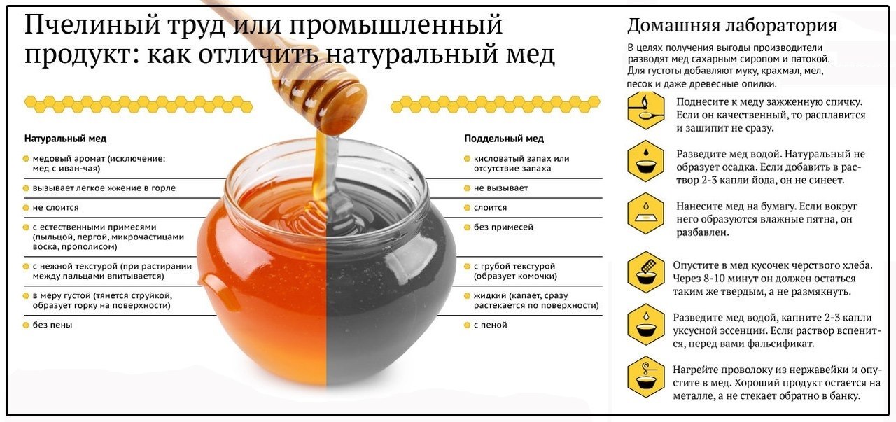 Как проверить мёд на натуральность: 15 эффективных способов