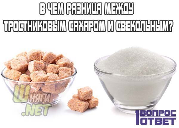 Главные отличия тростникового сахара от обычного белого