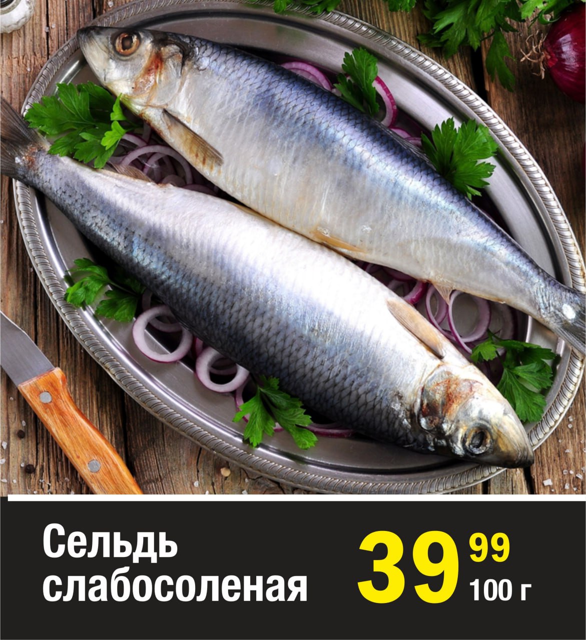 Сельдь - что за рыба, где водится, описание, фото, польза и вред