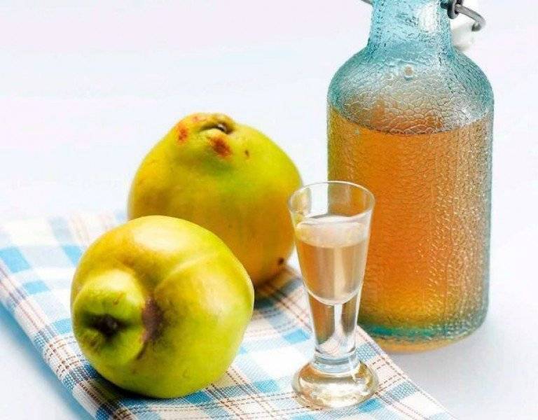 Вино из айвы: советы по приготовлению оригинального домашнего напитка