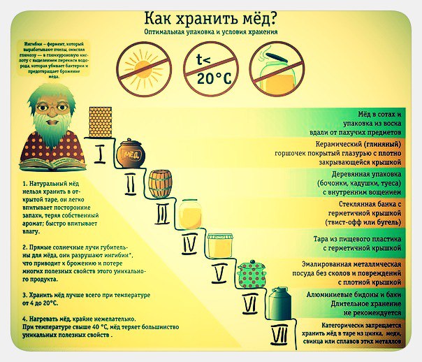 Как хранить мед дома: как правильно выбрать упаковку и температуру