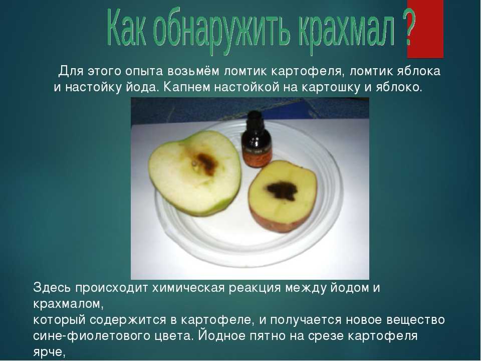 Крахмал - свойства и применение, виды и продукты с крахмалов в составе