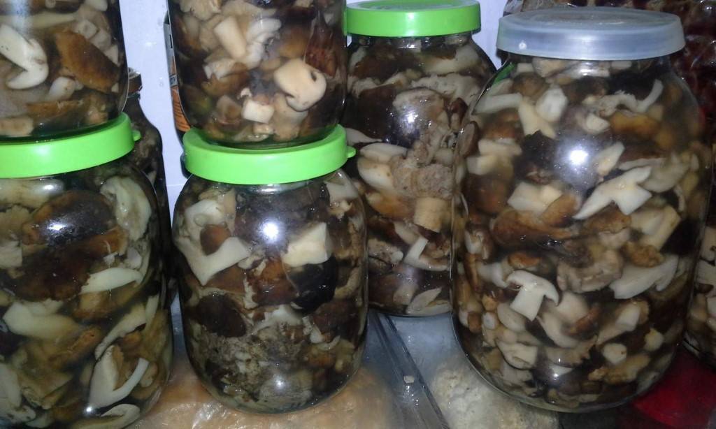 Маринованные белые грибы на зиму в банках (без стерилизации)