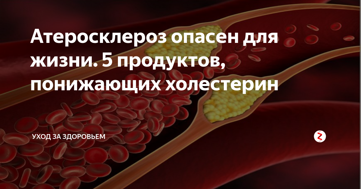 В чем заключается польза и вред риса? как сорта влияют на здоровье