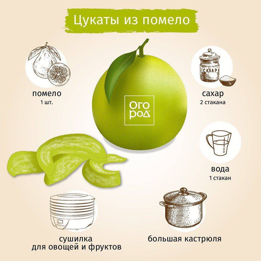 Помело: что за фрукт, польза и вред для здоровья