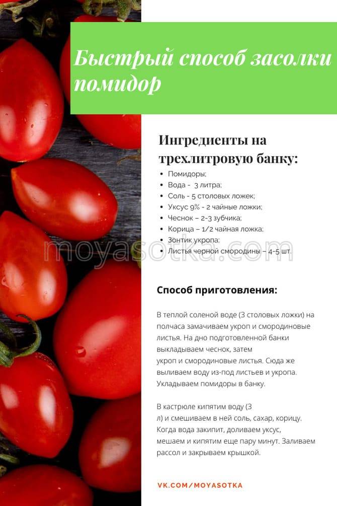 Как солить помидоры: бабушкин рецепт приготовления томатов на зиму