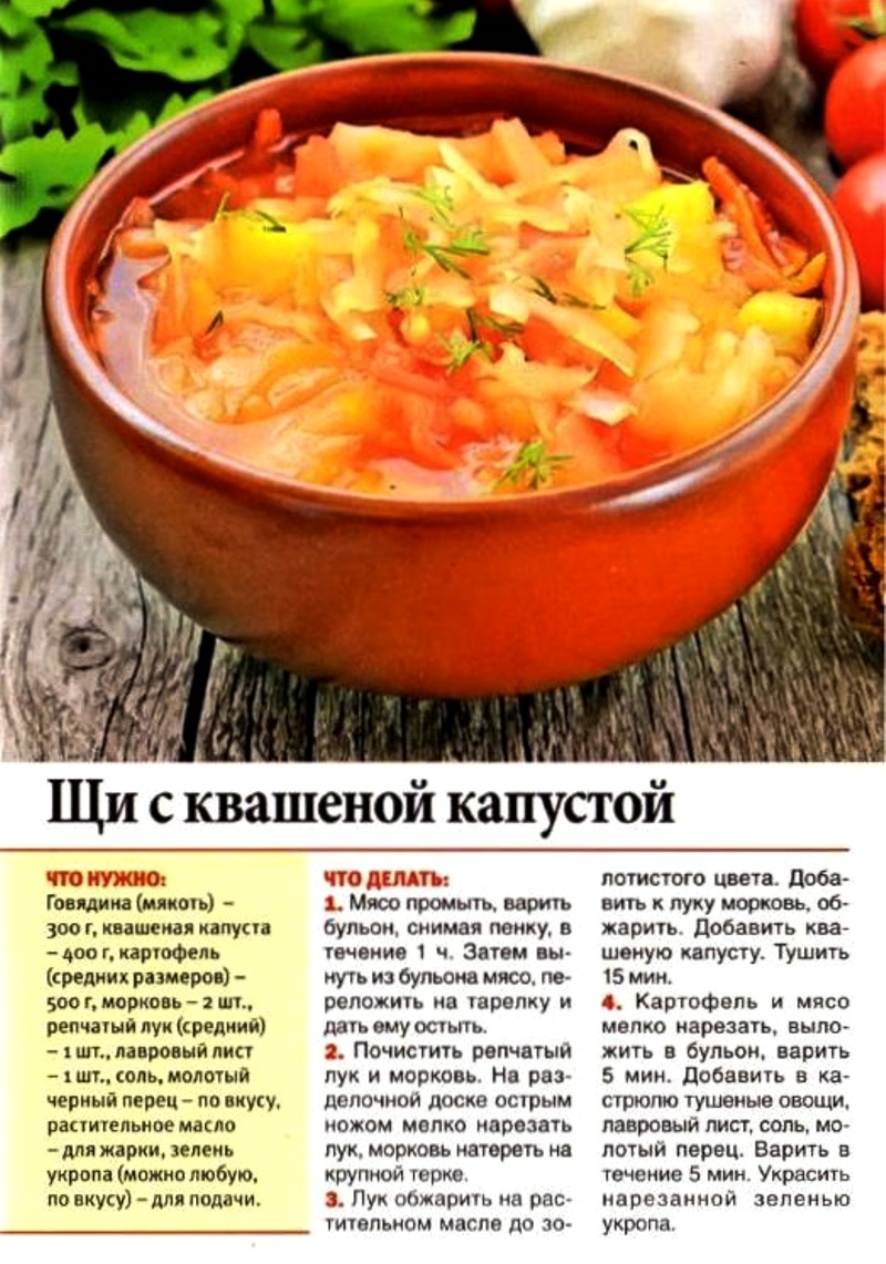 Квашеная капуста: классические рецепты хрустящей и сочной капусты в банке на зиму