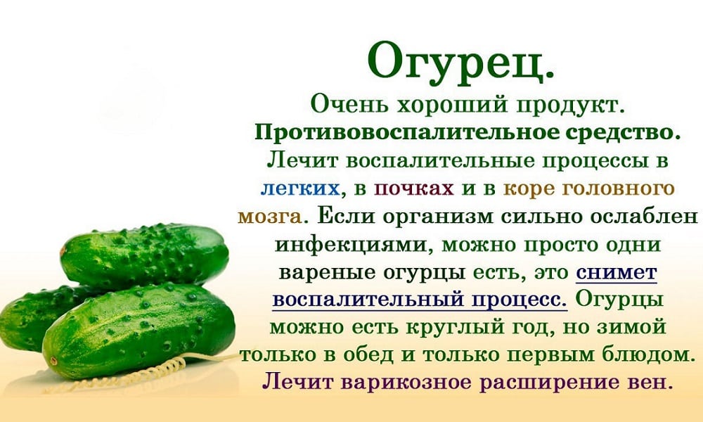 В чем уникальность состава грунтовых огурцов Насколько полезны или вредны огурцы для организма читайте в статье авторитетное мнение диетологов и других специалистов