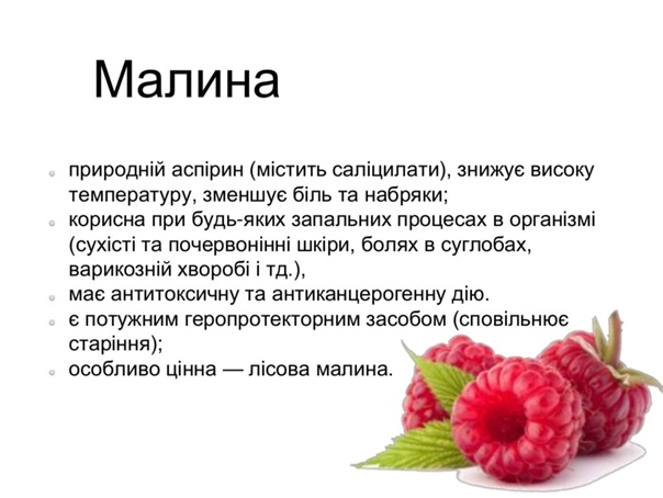 Уникальная ценность и полезные свойства чёрной малины. редкая ягода — чёрная малина: противопоказания и уникальность её состава
