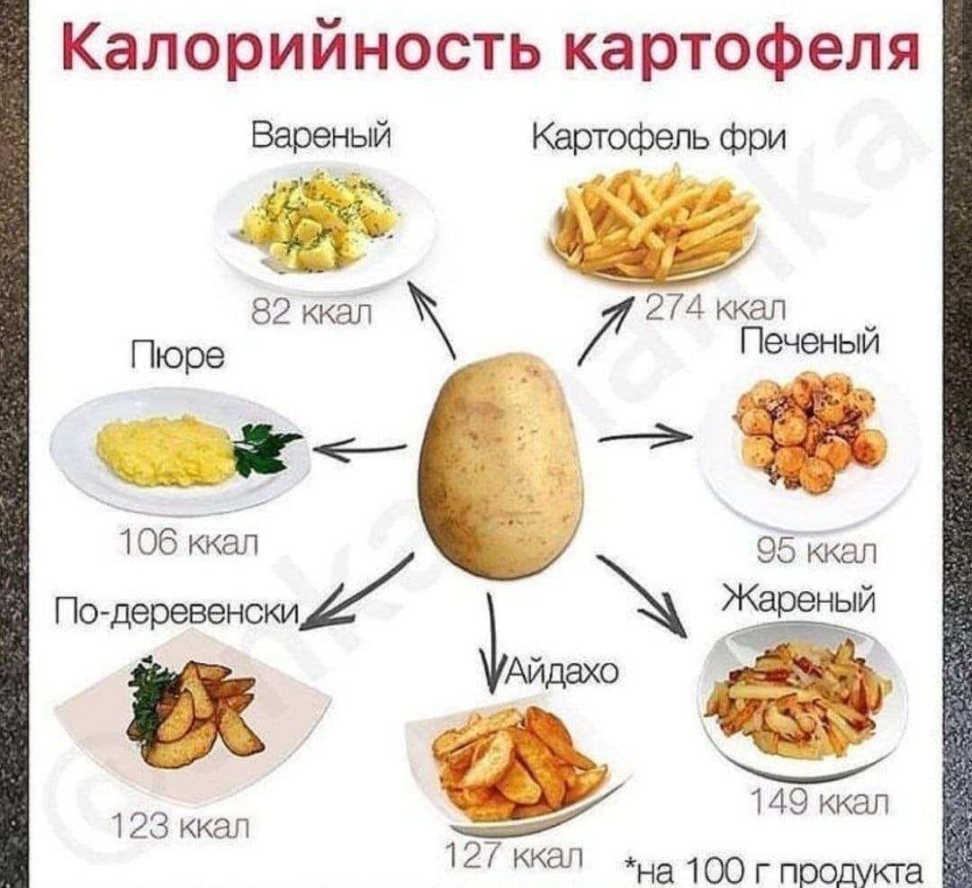 Состав польза и калорийность картофеля Как способ приготовления влияет на количество калорий в картофеле