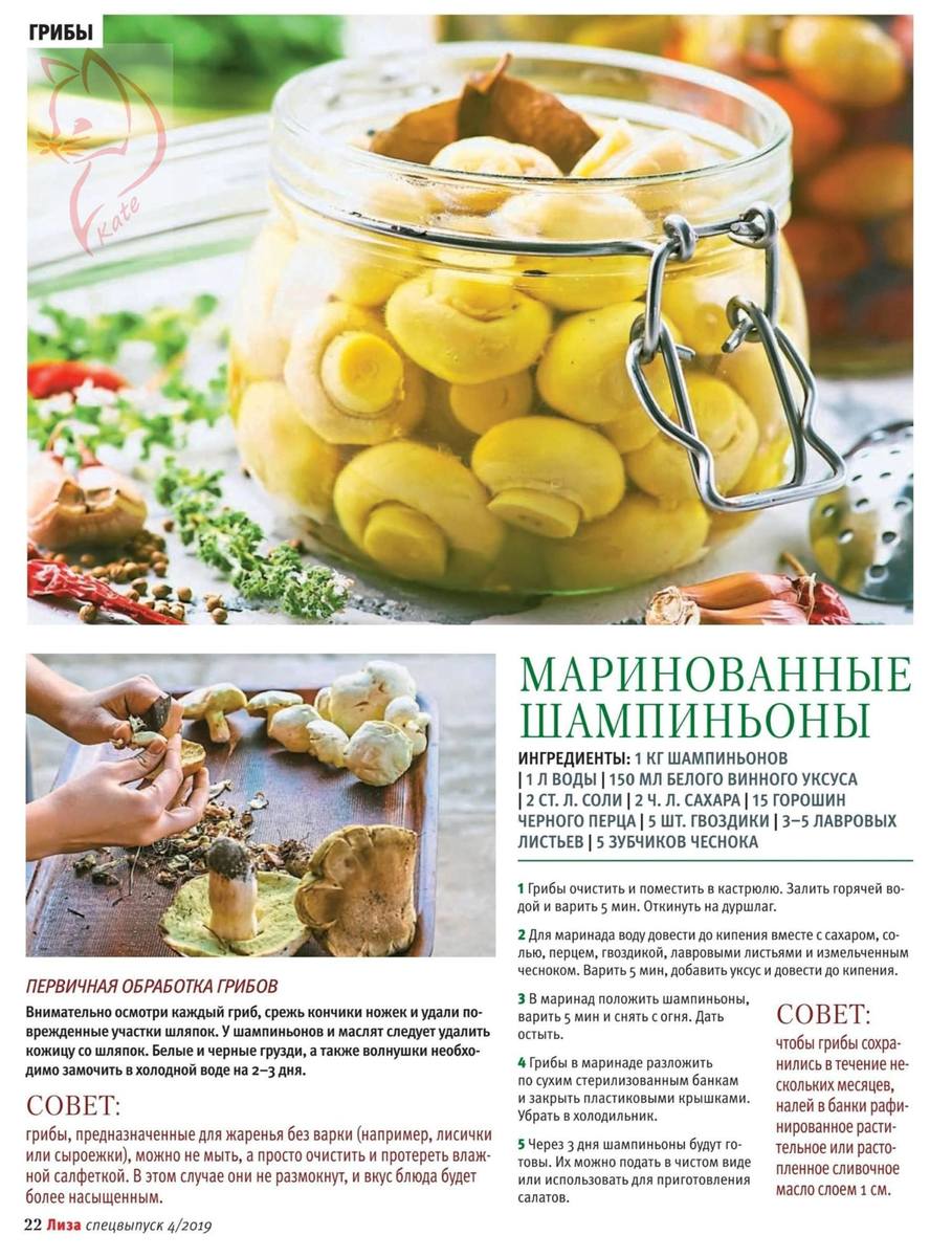 Маринованные шампиньоны – 7 рецептов приготовления на зиму