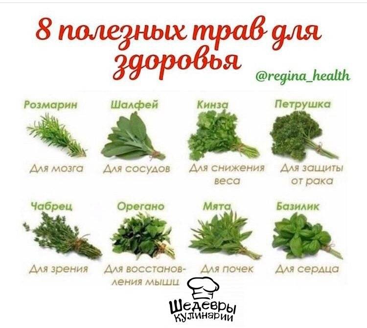 Использование мелиссы в кулинарии