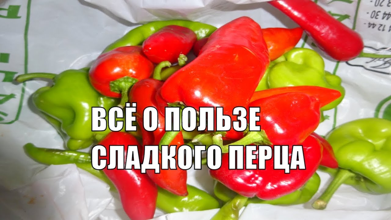 Болгарский перец - польза и вред при заболеваниях, применение в диетах