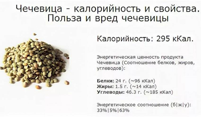 Чечевица польза и вред: рецепты приготовления для здоровья