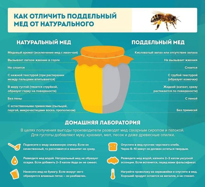 Как отличить натуральный мёд от подделки: советы роспотребнадзора — секрет фирмы