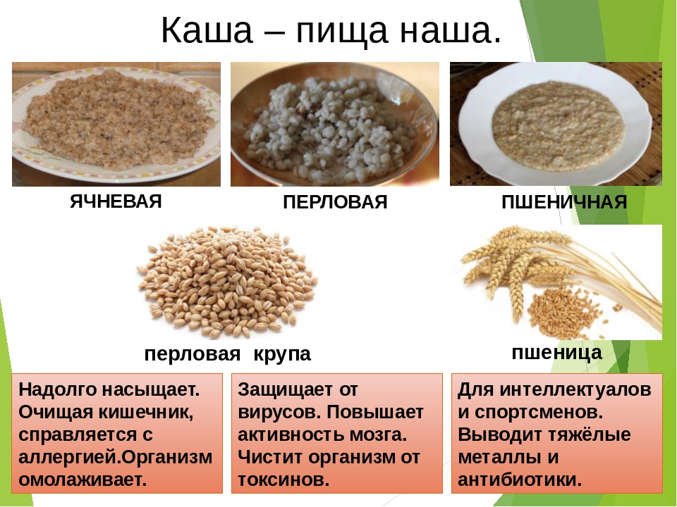 Презентация на тему ""крупы всякие нужны,каши всякие важны"" о технологии для 6 класса