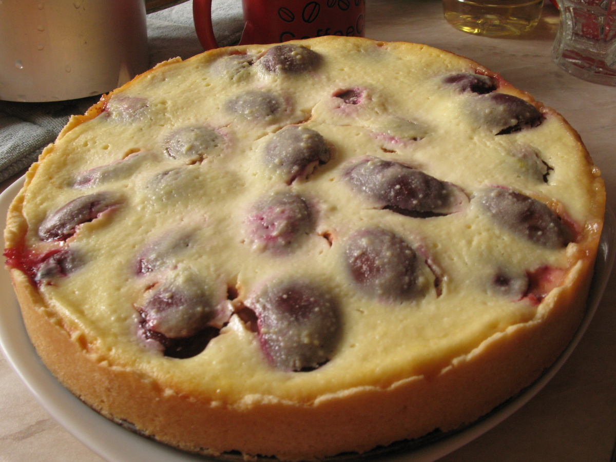 Пирог со сливами быстро и вкусно: рецепты приготовления с фото