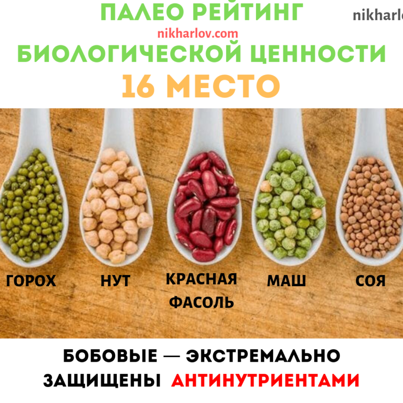 Свежие бобы - рецепты, как приготовить самостоятельно