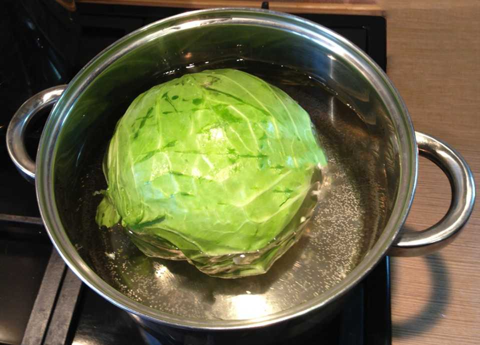 Сколько варится капуста - food-wiki.ru