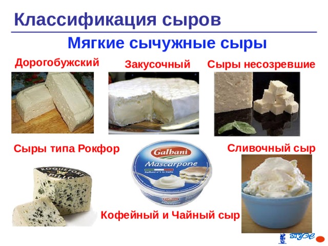 Классификация сыров и их характеристика