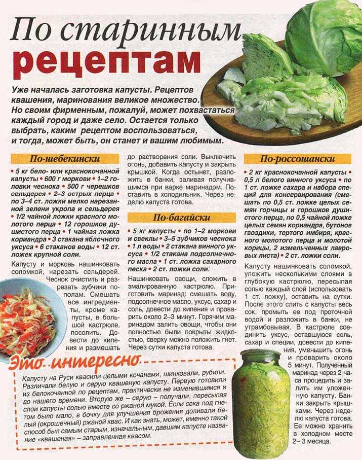 Вкусная и хрустящая квашеная капуста – классические рецепты на зиму