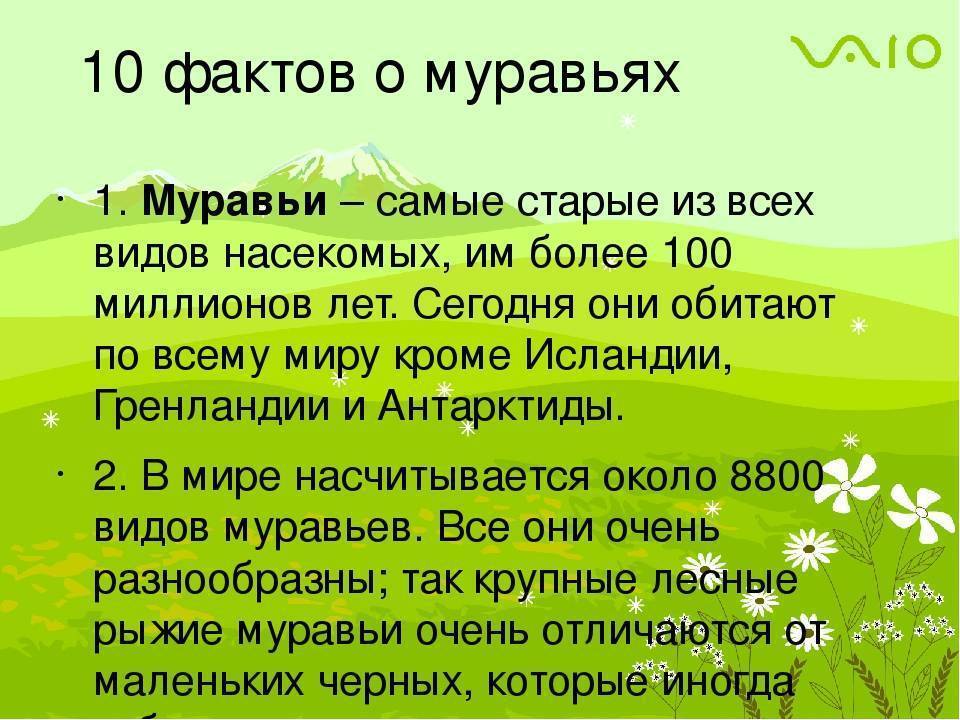 5 интересных фактов о твороге! что из него приготовить, чтобы ели даже дети - кулинария моей мечты