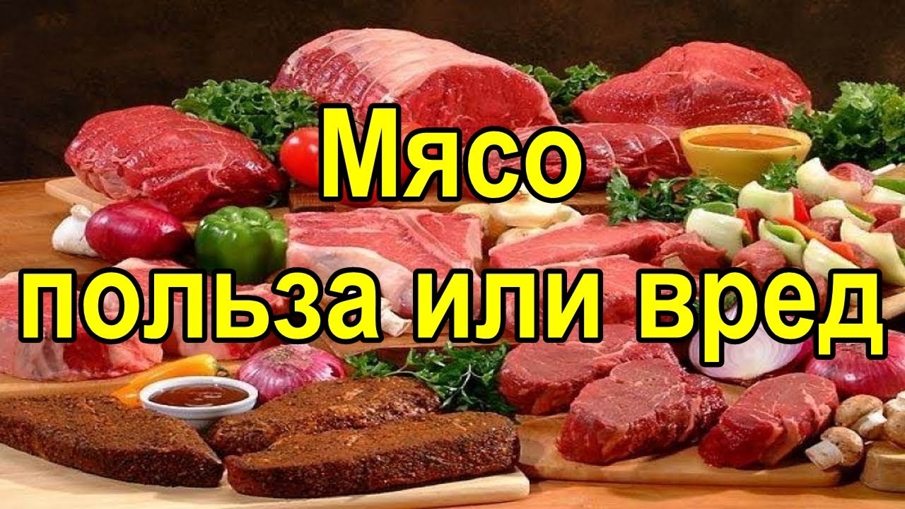 Телятина: что это такое, калорийность, норма в день, польза и вред