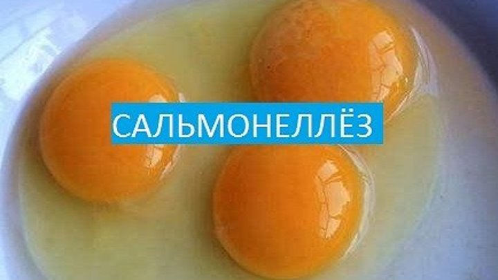 Яйца популярный продукт который является основным ингредиентом многих блюд Но это опасный продукт неправильное употребление может привести к сальмонеллёзу