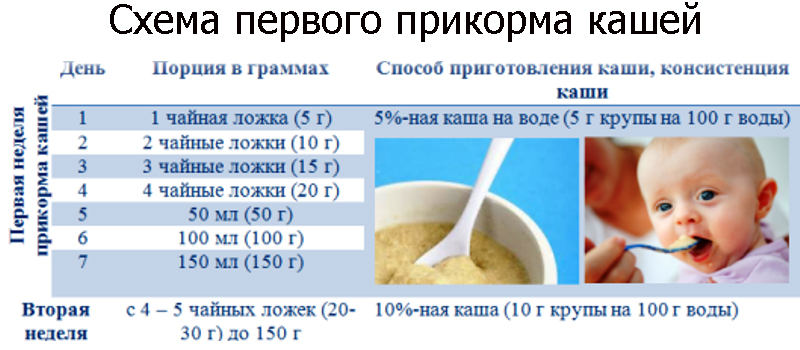 10 лучших рецептов каш на завтрак в банке – готовим на ночь, едим утром!