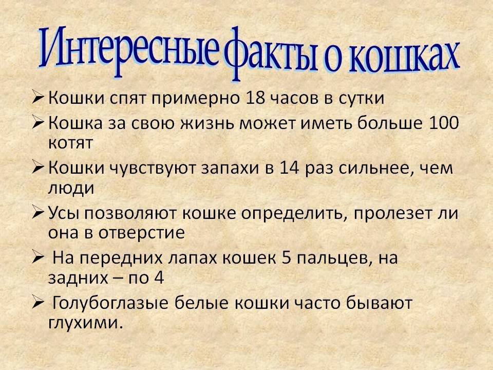 22 интересных факта о твороге