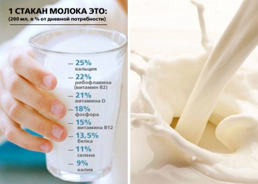 Цельное молоко: что это такое — состав, жирность, калорийность, чем отличается от обезжиренного и нормализованного — moloko-chr.ru
