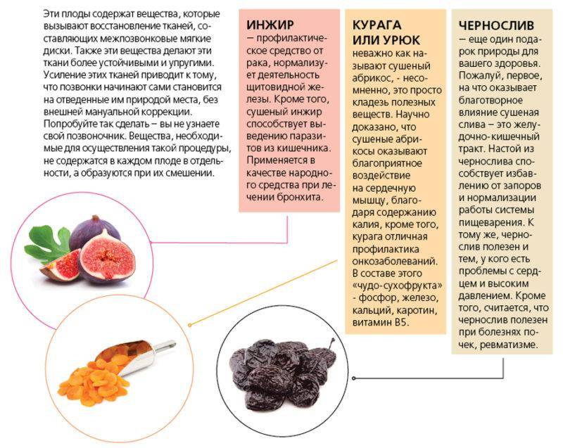 Чернослив – польза и вред сухофрукта для организма человека