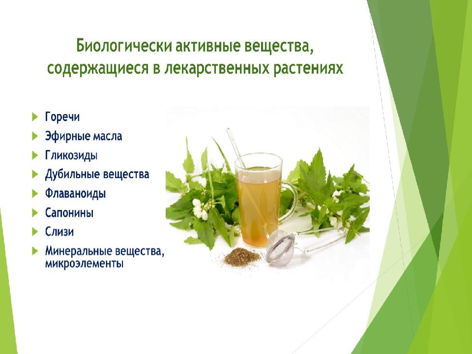 Смузи из сельдерея для похудения