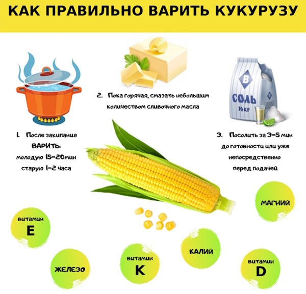 Как приготовить кукурузу в початках: 8 рецептов + бонус