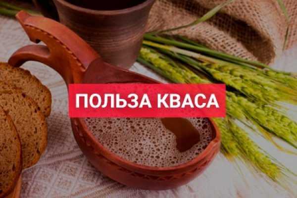 Напиток от простуды — дар природы.