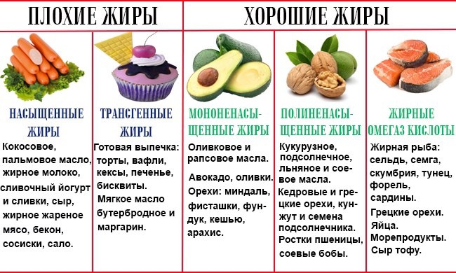 Жиры, строение и источники для организма, образование в природе, разновидности. содержание жирных кислот в растительных маслах