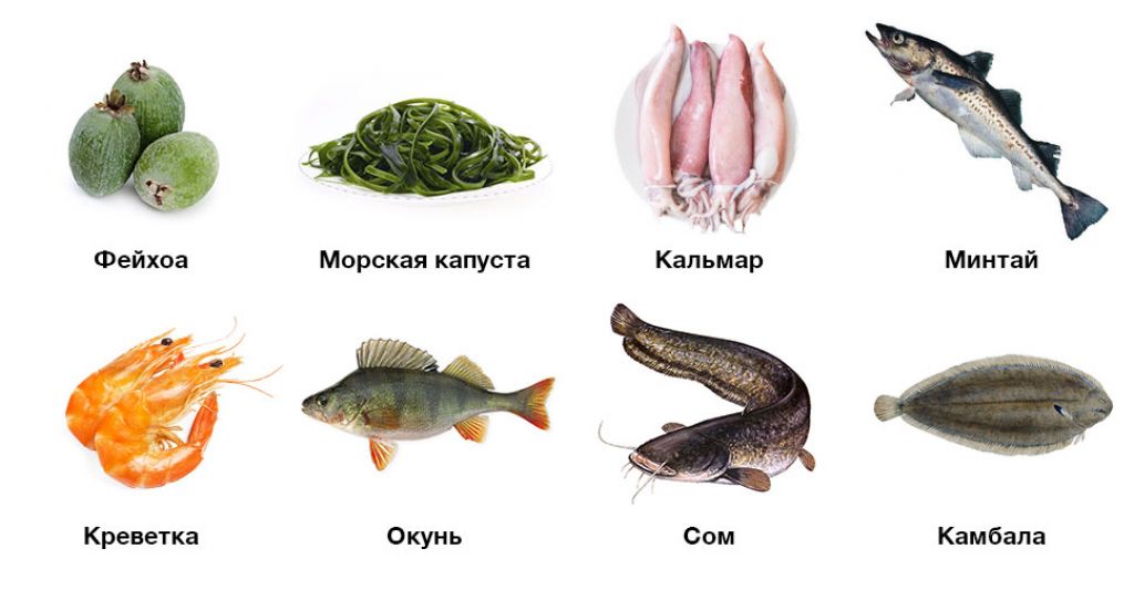 Продукты, богатые йодом, которые стоит включить в свой рацион. список продуктов питания, богатых йодом и полезных для щитовидной железы