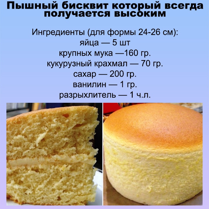 Основы кулинарии: бисквитное тесто — zira.uz