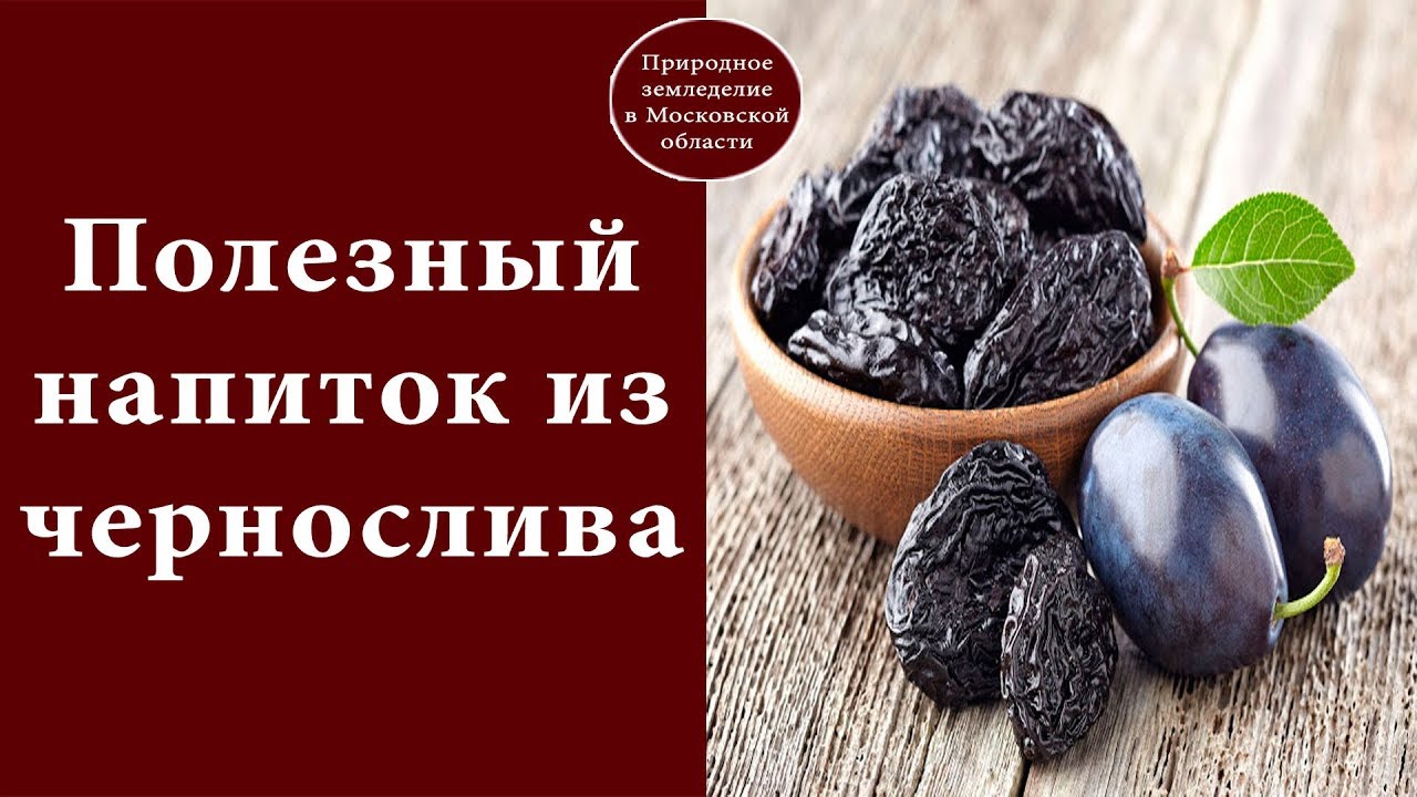 Польза и вред чернослива в напитках, с творогом, овсяной кашей, грецким орехом – хорошие привычки