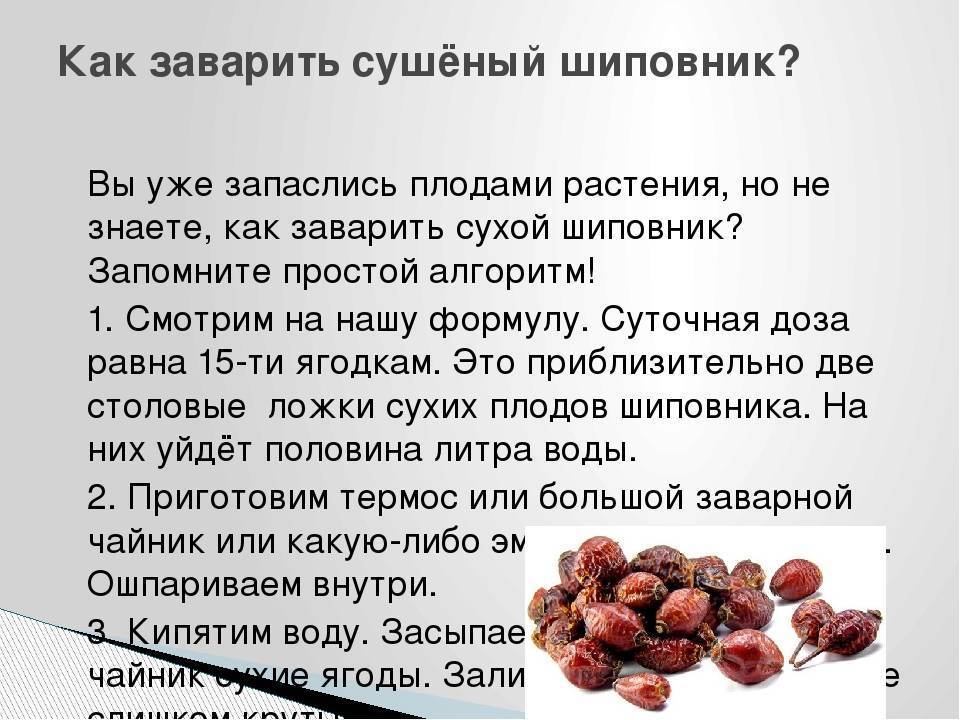 Настоящий кладезь витаминов компот из шиповника который варится легко и быстро но необходимо выдержать паузу в 30 или 40 минут оставив напиток под крышкой в