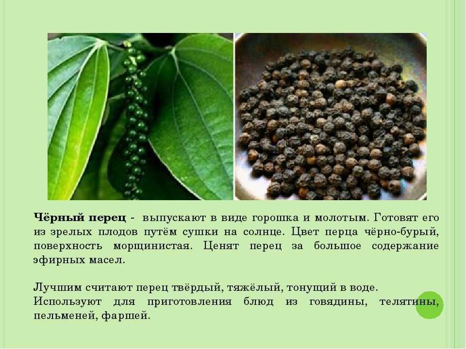 Соус из черного перца: особенности и рецепт приготовления