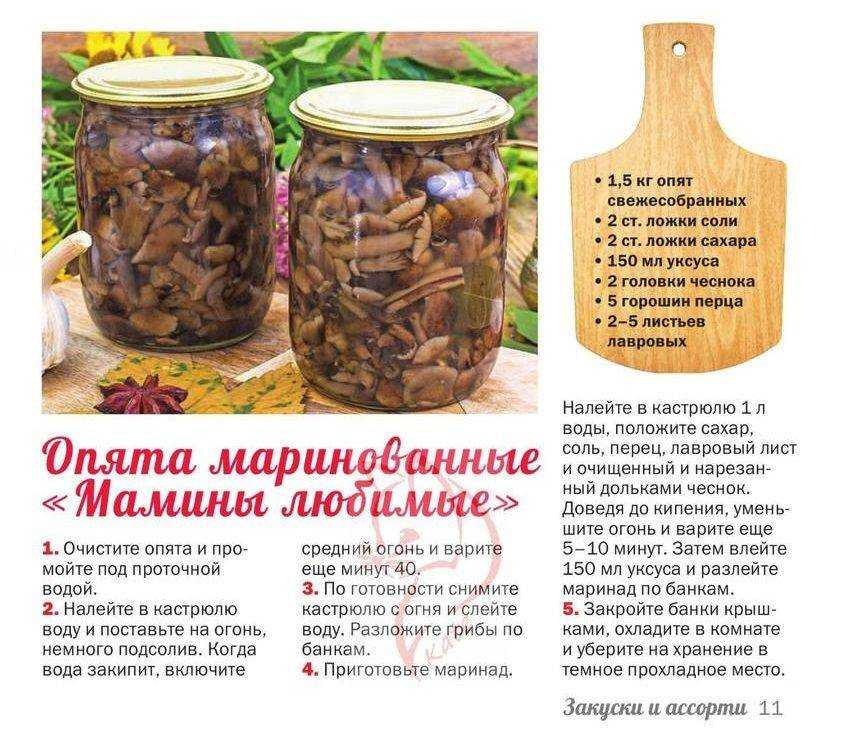 Белые грибы на зиму: 9 простых и очень вкусных рецептов маринования - огород-365