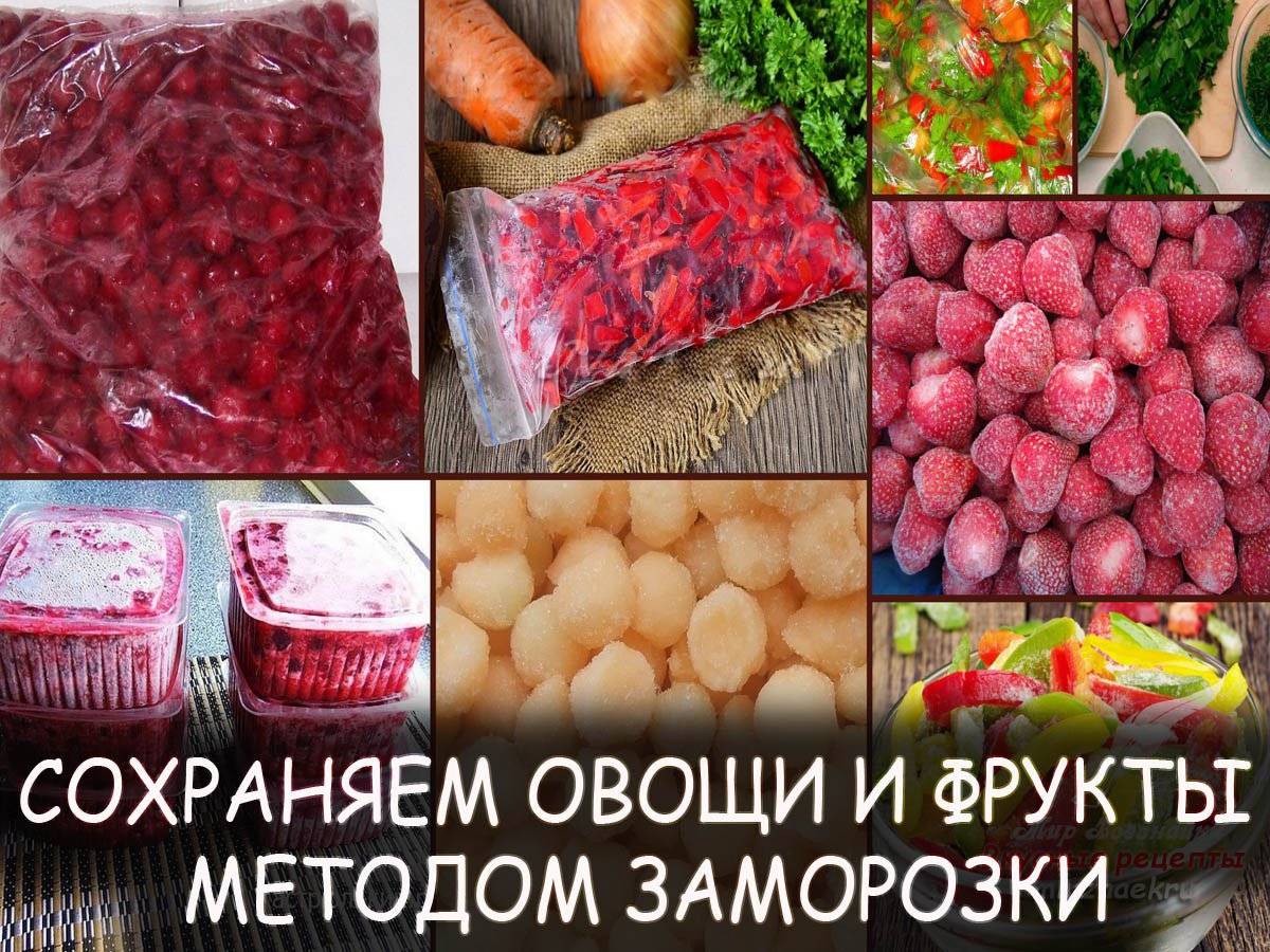 Шоковая заморозка – что это: правила разморозки после неё