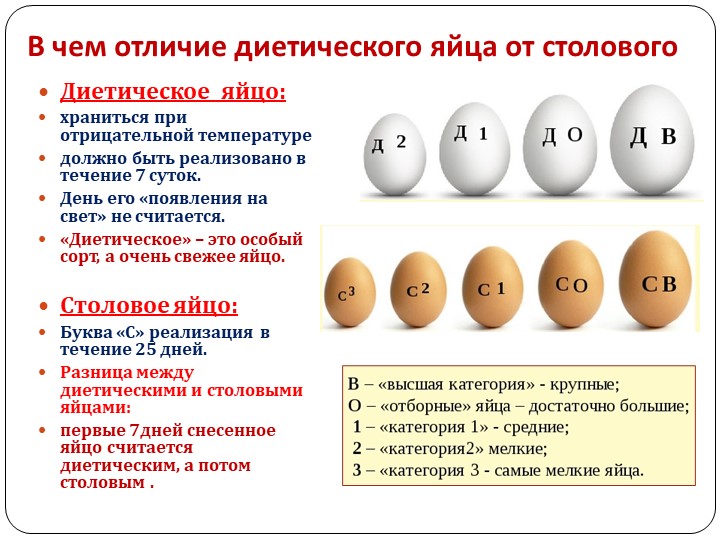 Как выбрать яйца в магазине: критерии качествественного продукта