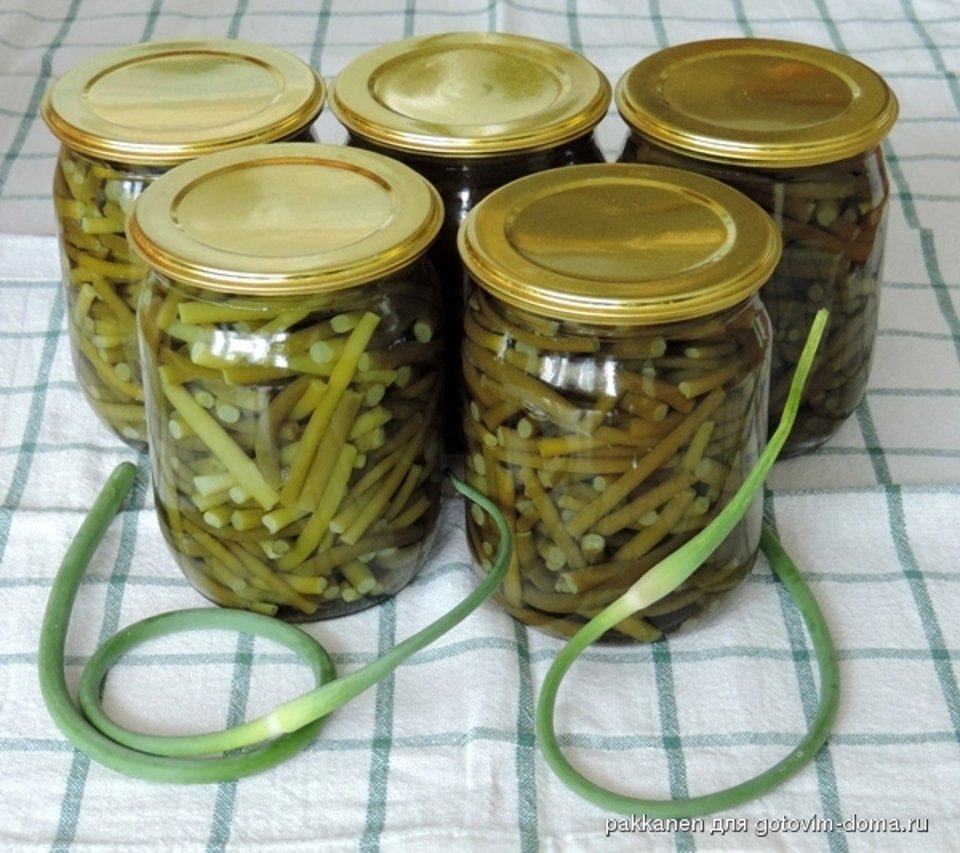 Чесночные стрелки на зиму — рецепты заготовок через мясорубку